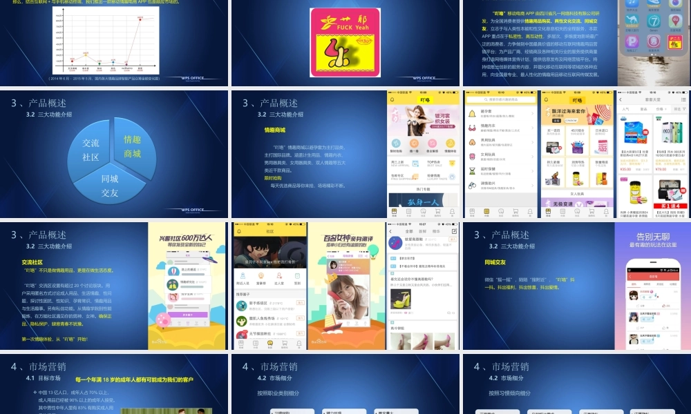 吖咯情趣体验社创业计划书