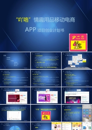 吖咯情趣体验社创业计划书