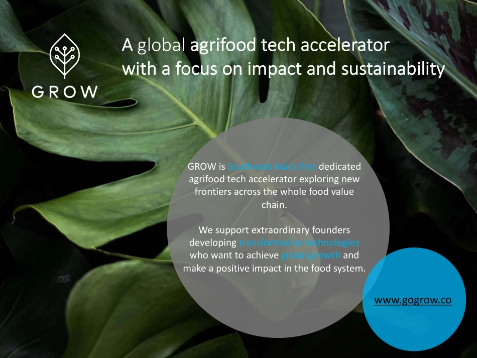 AGFUNDER-2020年东盟农业食品科技投资报告-2020.7-42页_第3页