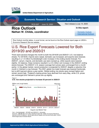 美国农业部-美股-农业行业-美国稻米展望-20200614-11页