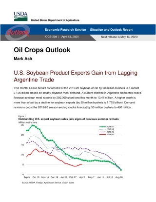 美国农业部-美股-农业行业-美国油料作物展望-20200413-8页