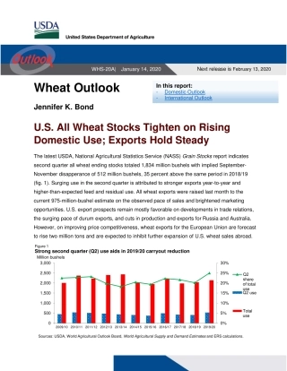 美国农业部-美股-农业行业-小麦展望：美国所有的小麦库存由于国内需求上升而收紧，出口保持稳定-20200114-13页