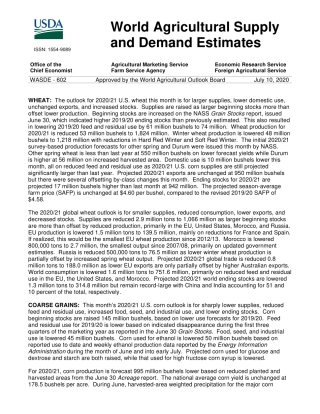 美国农业部-全球-农业行业-世界农业供需预测-20200710-40页