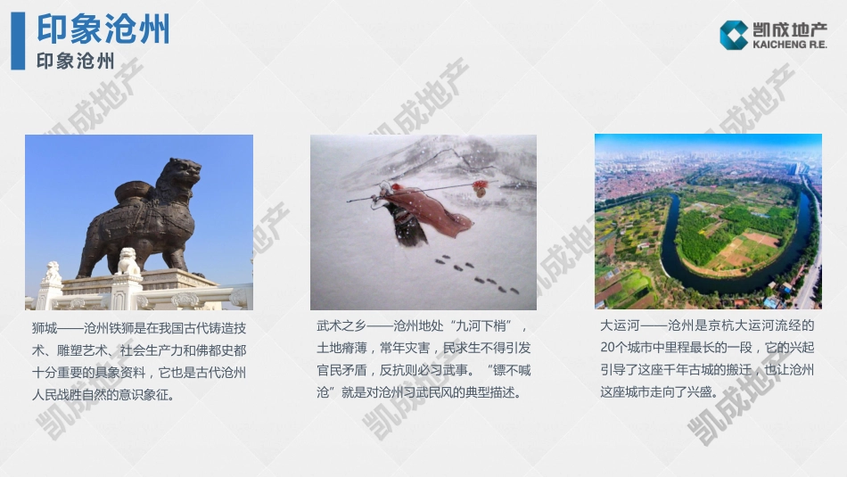 【城市进入研究】沧州_第2页