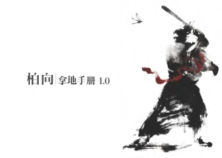 【拿地手册】柏向拿地手册