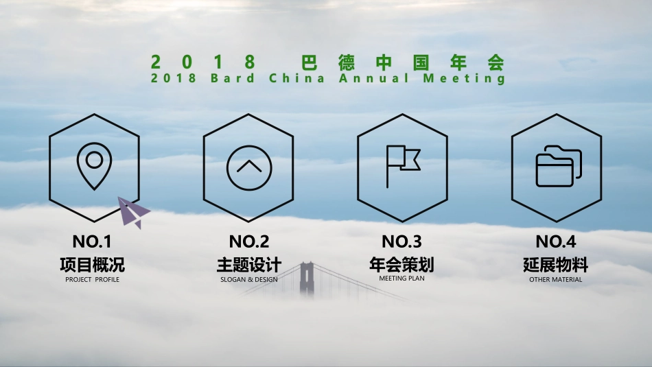 巴德中国年会策划方案【医药美容】【年会策划】_第2页