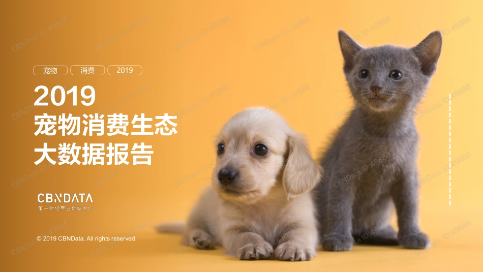 宠物消费生态大数据报告_第1页