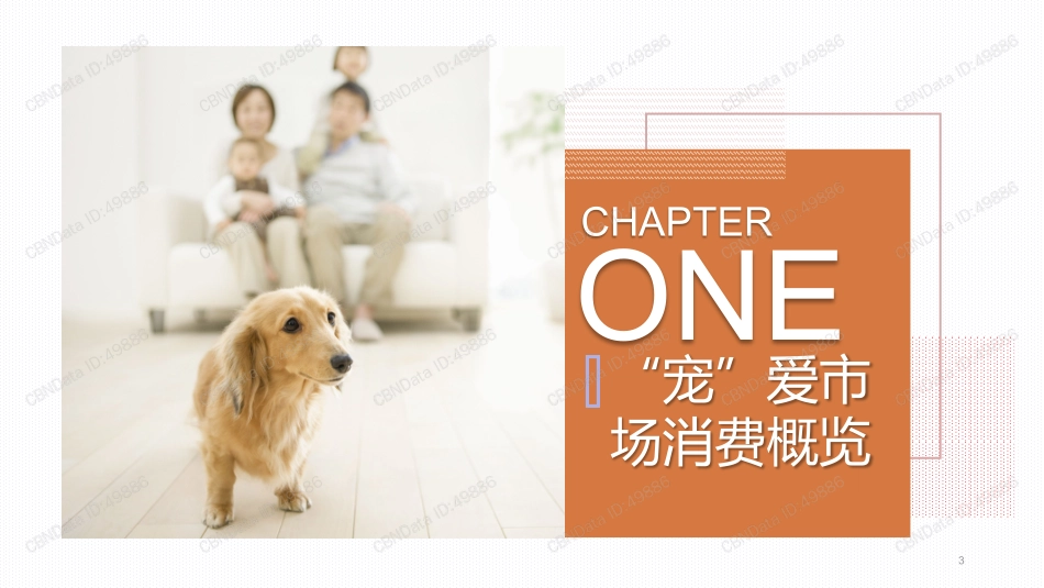 宠物消费生态大数据报告_第3页