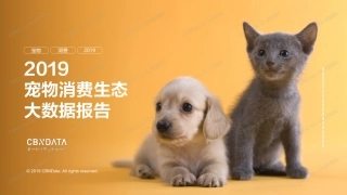 宠物消费生态大数据报告