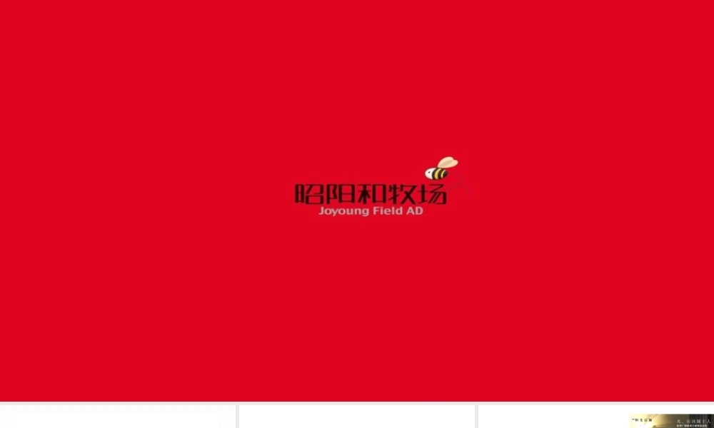 广州昭阳和牧场-保利·和光晨樾年推广执行方案【地产】【品牌推广】