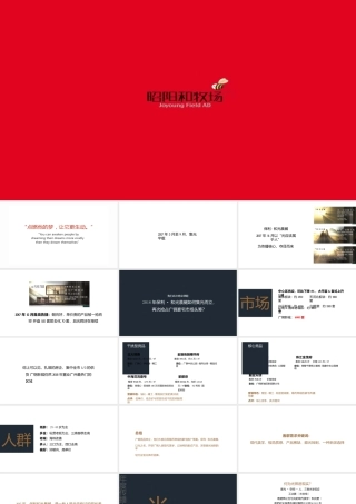 广州昭阳和牧场-保利·和光晨樾年推广执行方案【地产】【品牌推广】