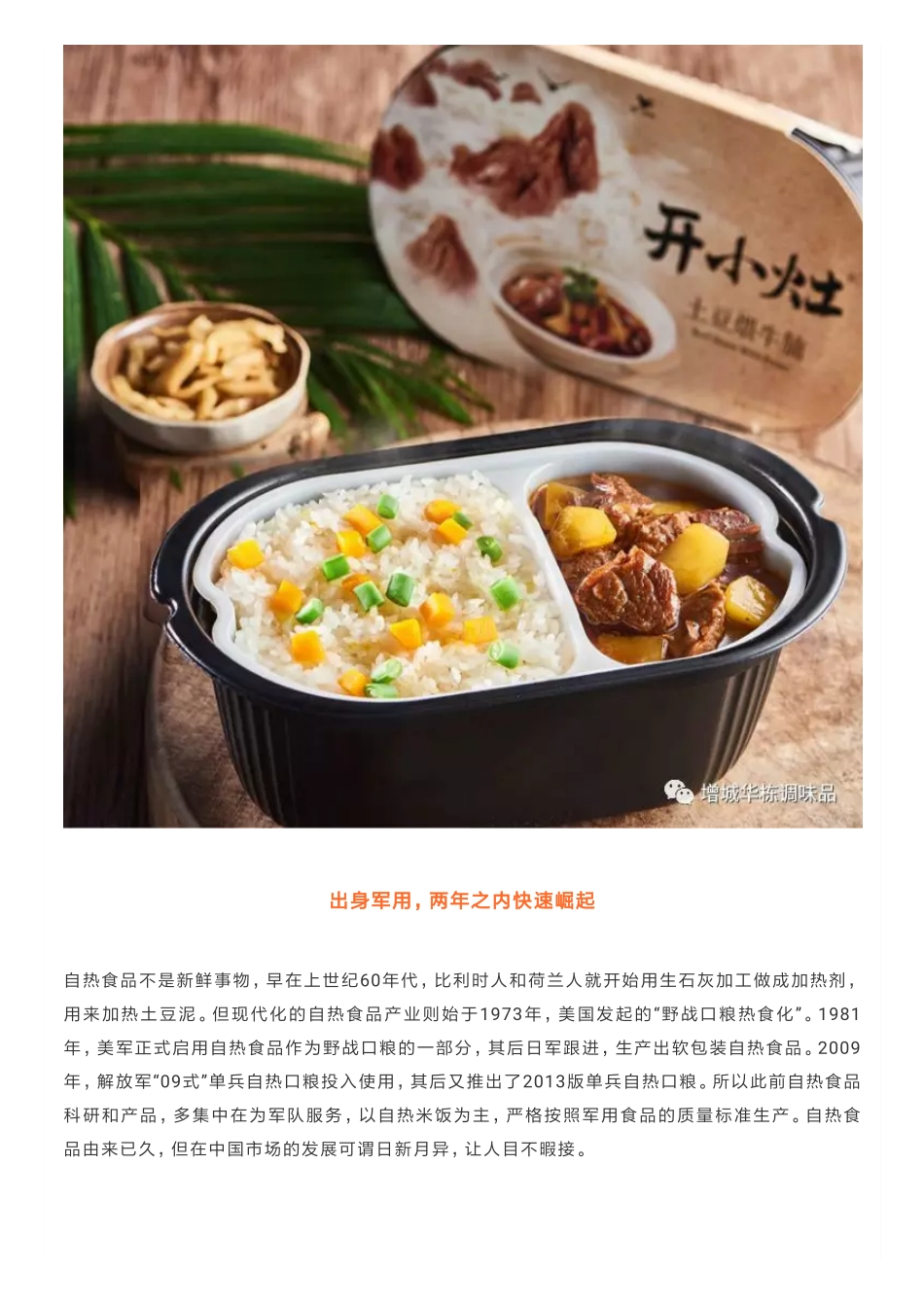 借势“懒人经济”，自热食品再造百亿品类_第2页