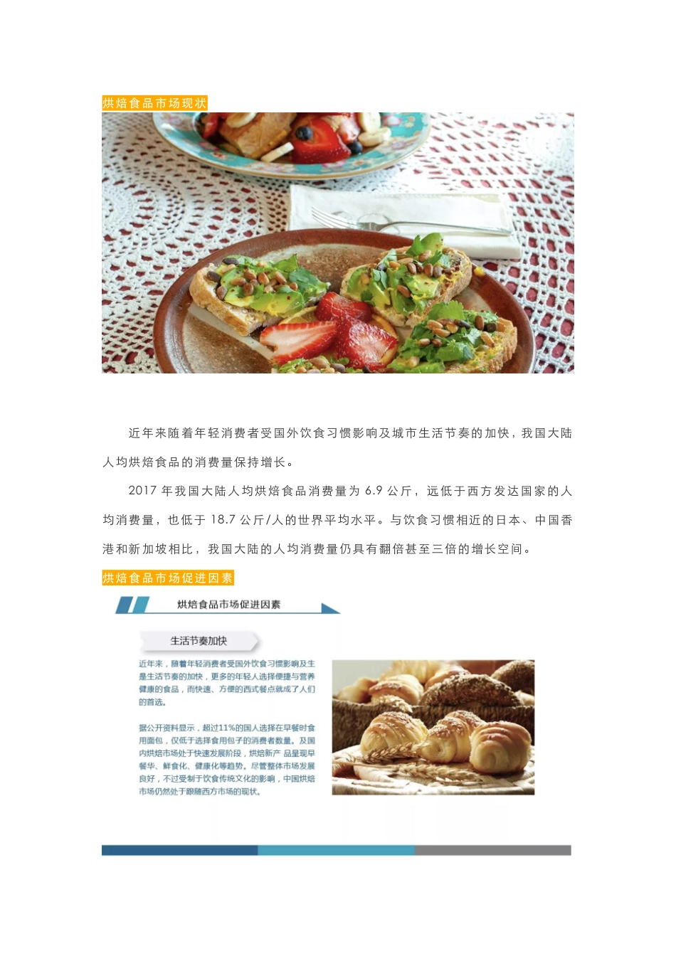 年中国烘焙食品行业市场前景研究报告_第3页