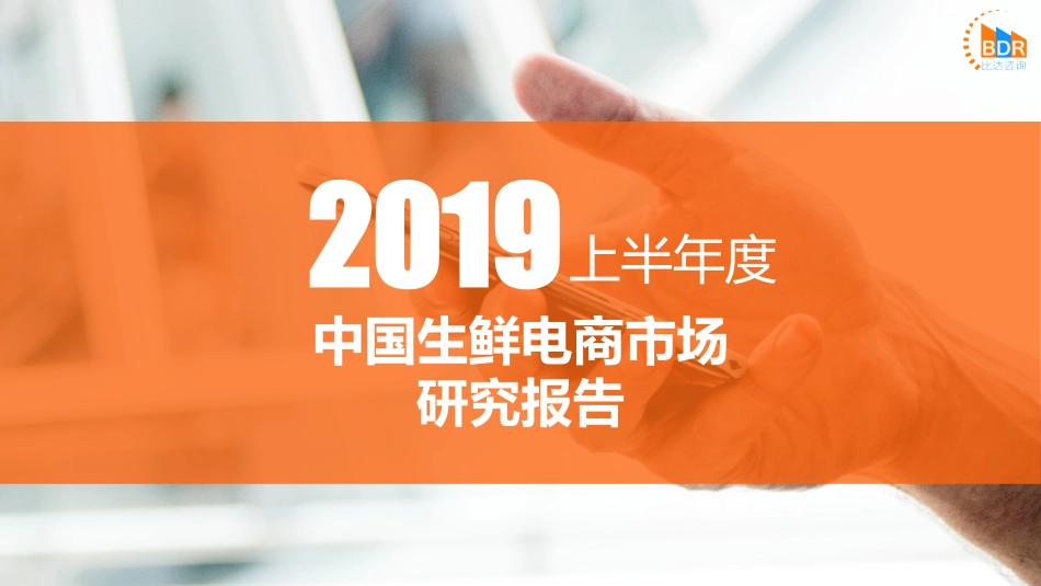 上半年中国生鲜电商市场研究报告_第1页