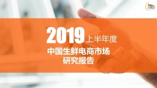 上半年中国生鲜电商市场研究报告