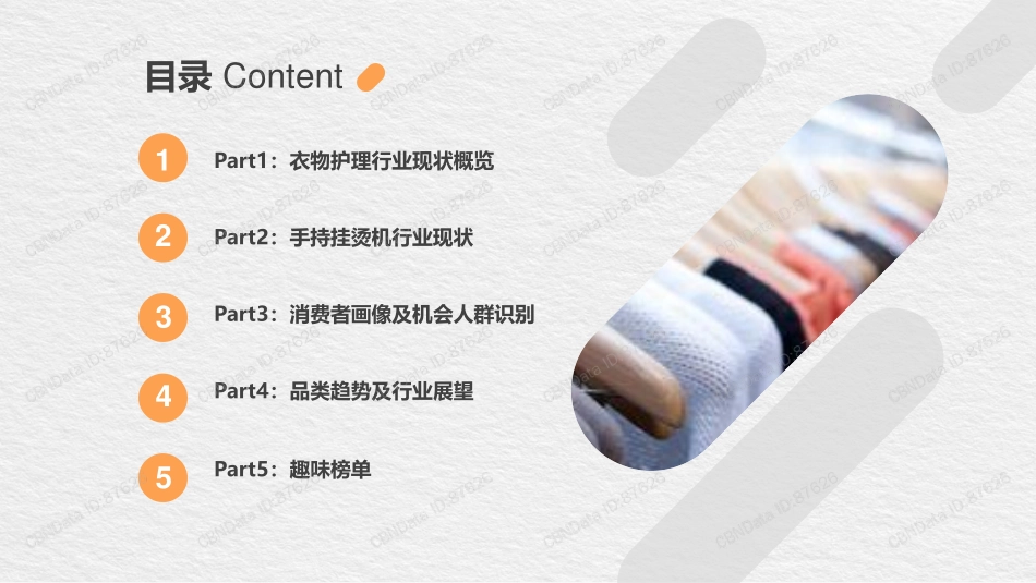 线上衣物护理研究白皮书_第2页