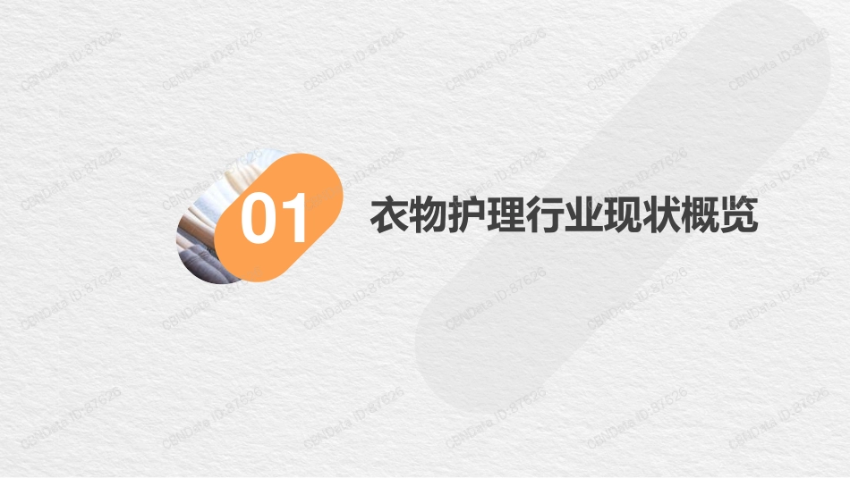 线上衣物护理研究白皮书_第3页
