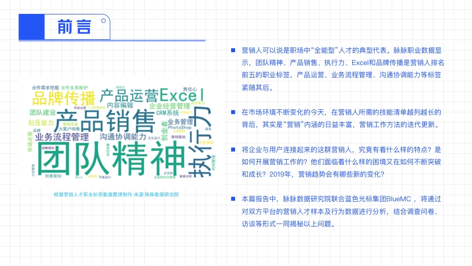 营销人才洞察报告-_第2页