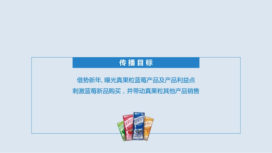 -真果粒蓝莓新品上市传播方案_第3页