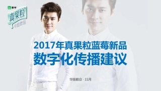 -真果粒蓝莓新品上市传播方案