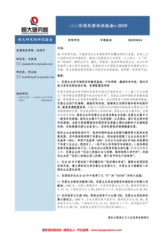 中国民营经济报告，--恒大研究院-页