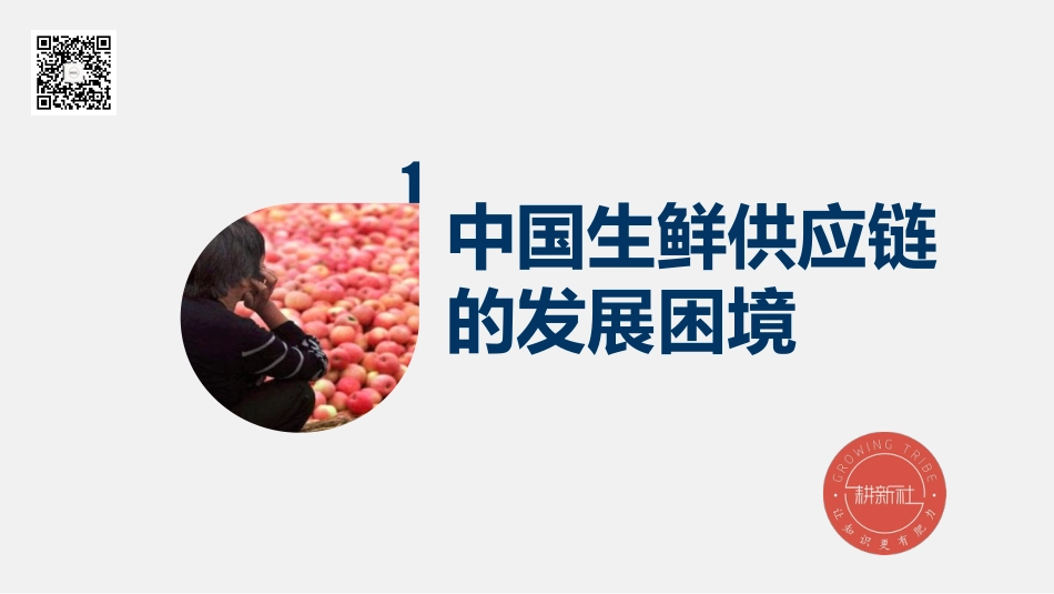 中国生鲜供应链的未来之战－段战江_第3页