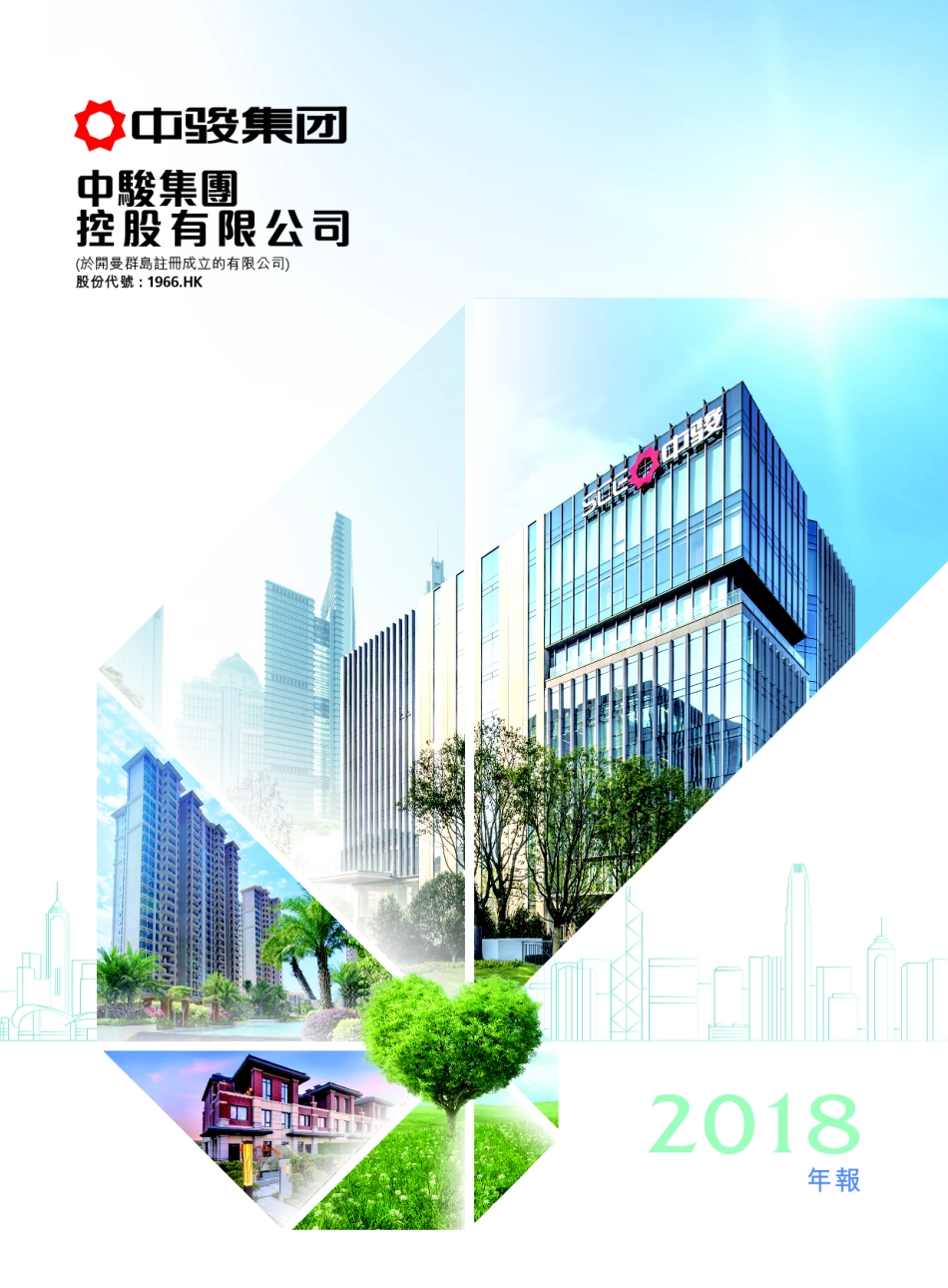 中骏集团年报_第1页