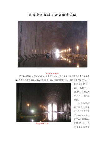 左岸导流洞竣工验收图片资