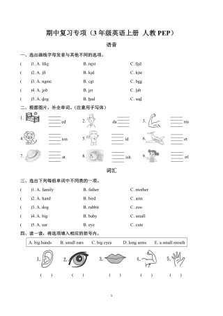 期中复习专项（三年级年级英语上册 人教版）