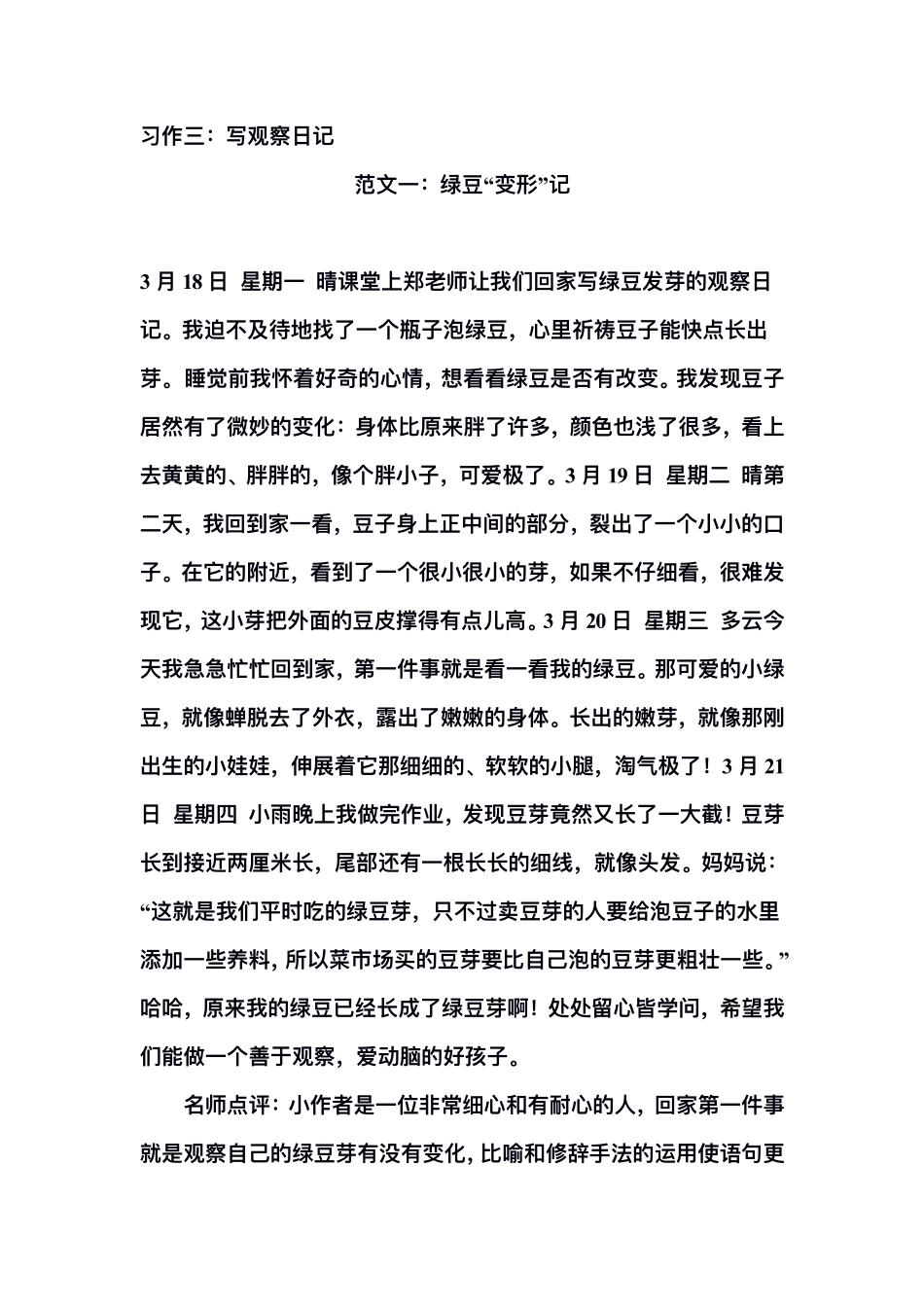 四年级（上）语文1-8单元习作范文汇总_第3页