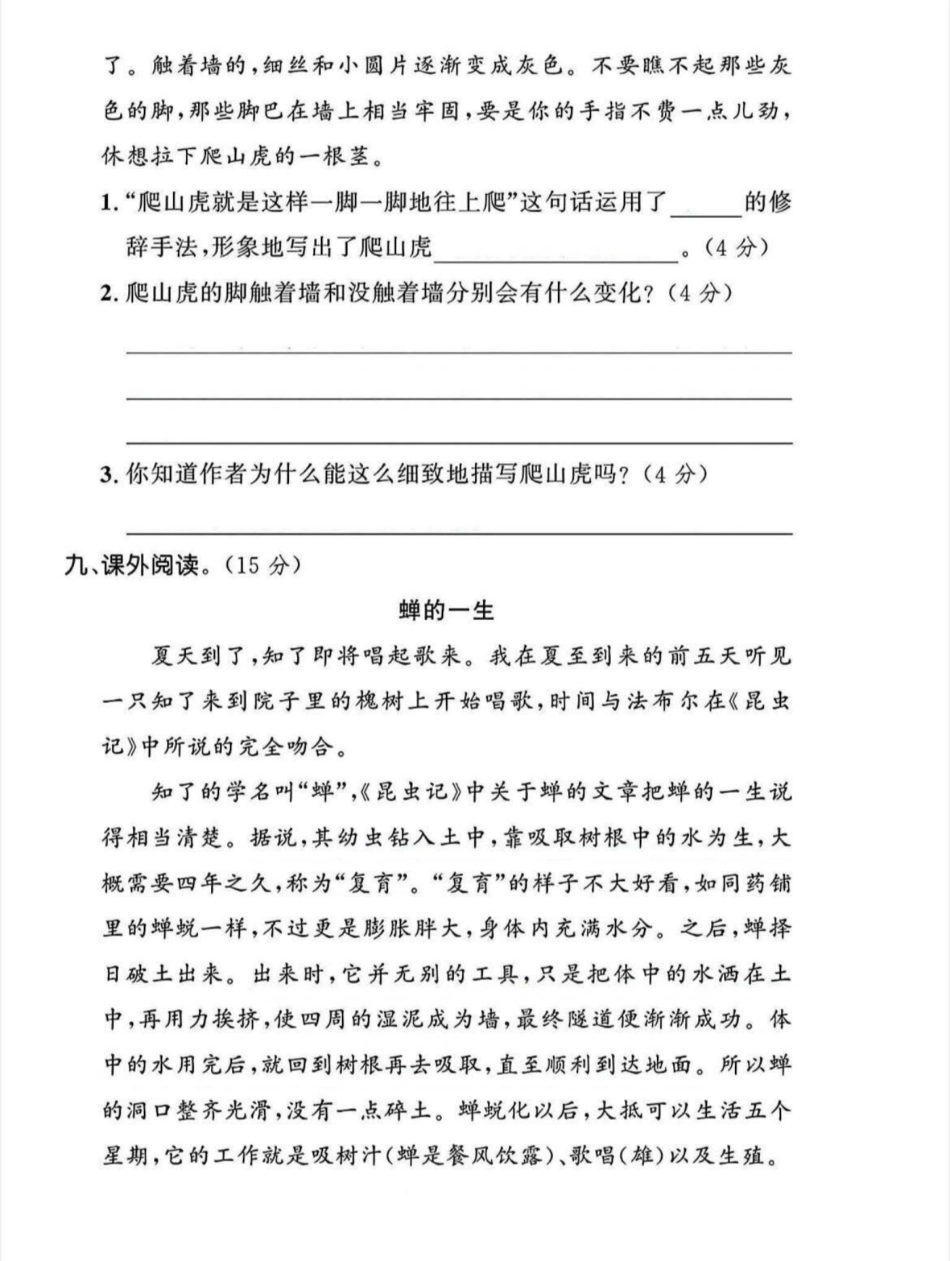 四年级上册语文第三单元检测卷--瑟瑟--含答案_第3页