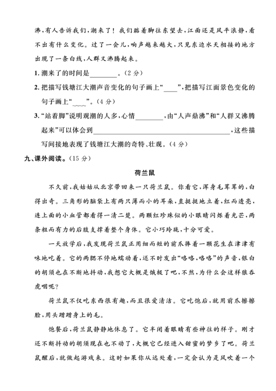 四年级上册语文期中检测卷--xu ron_第3页