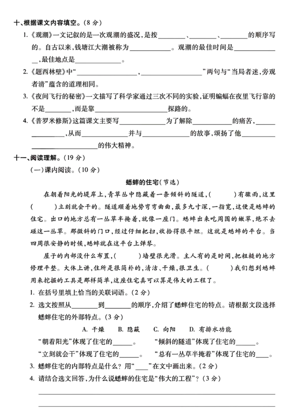 四年级上册语文期中检测卷--卵石--含答案_第3页