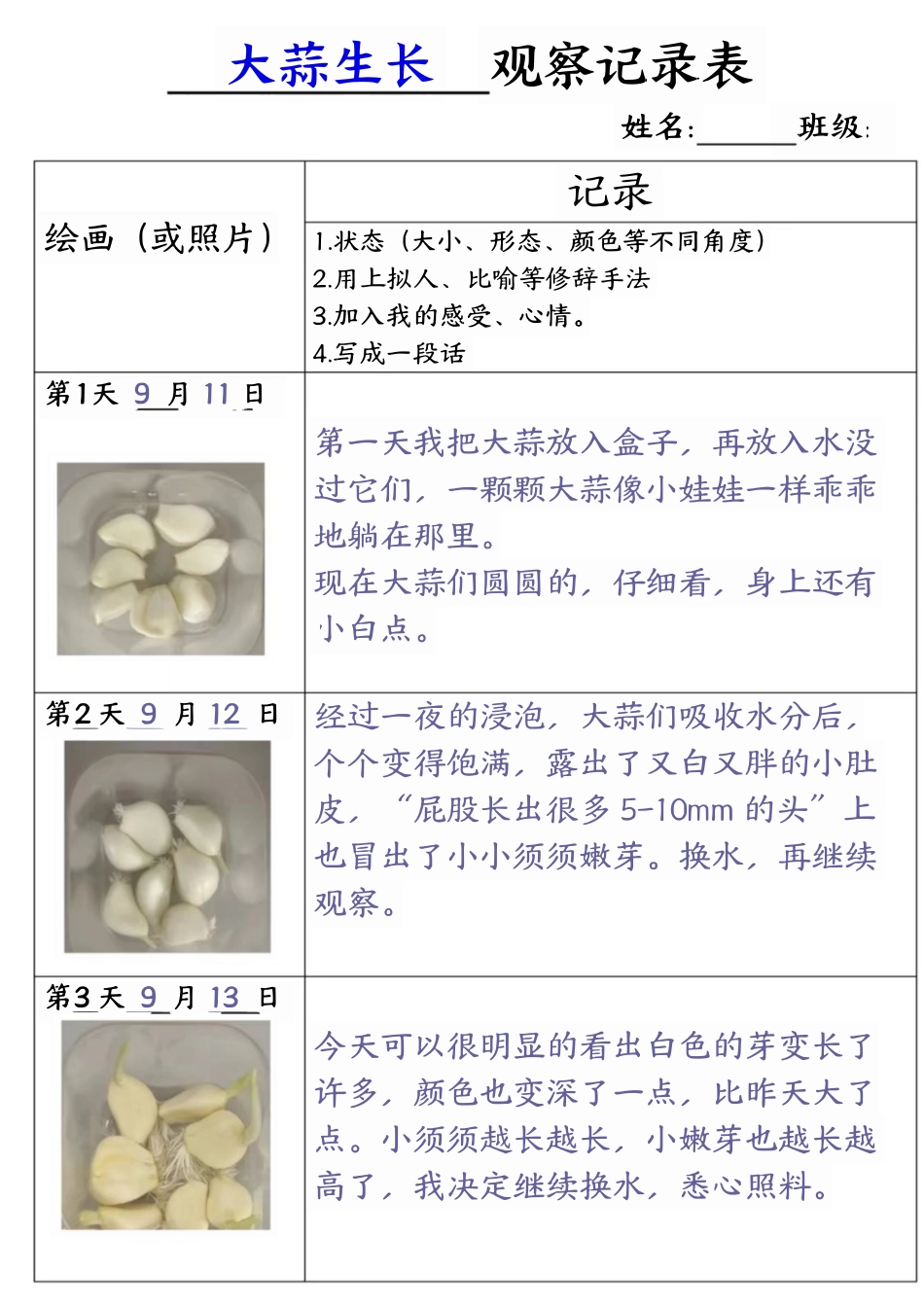 四年级语文大蒜生长观察记录表_第1页