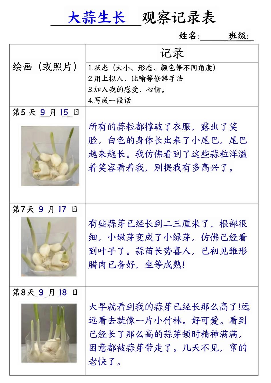 四年级语文大蒜生长观察记录表_第2页