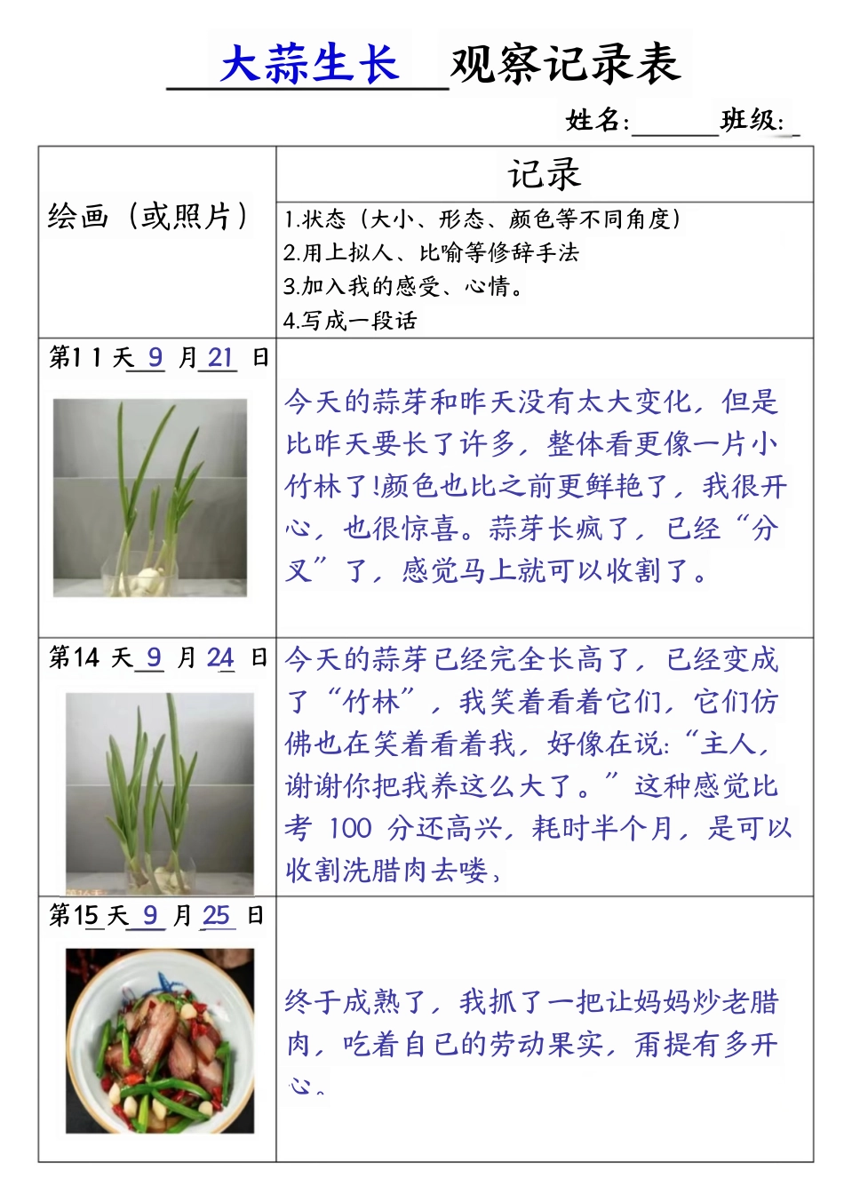 四年级语文大蒜生长观察记录表_第3页