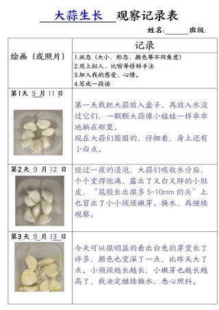 四年级语文大蒜生长观察记录表