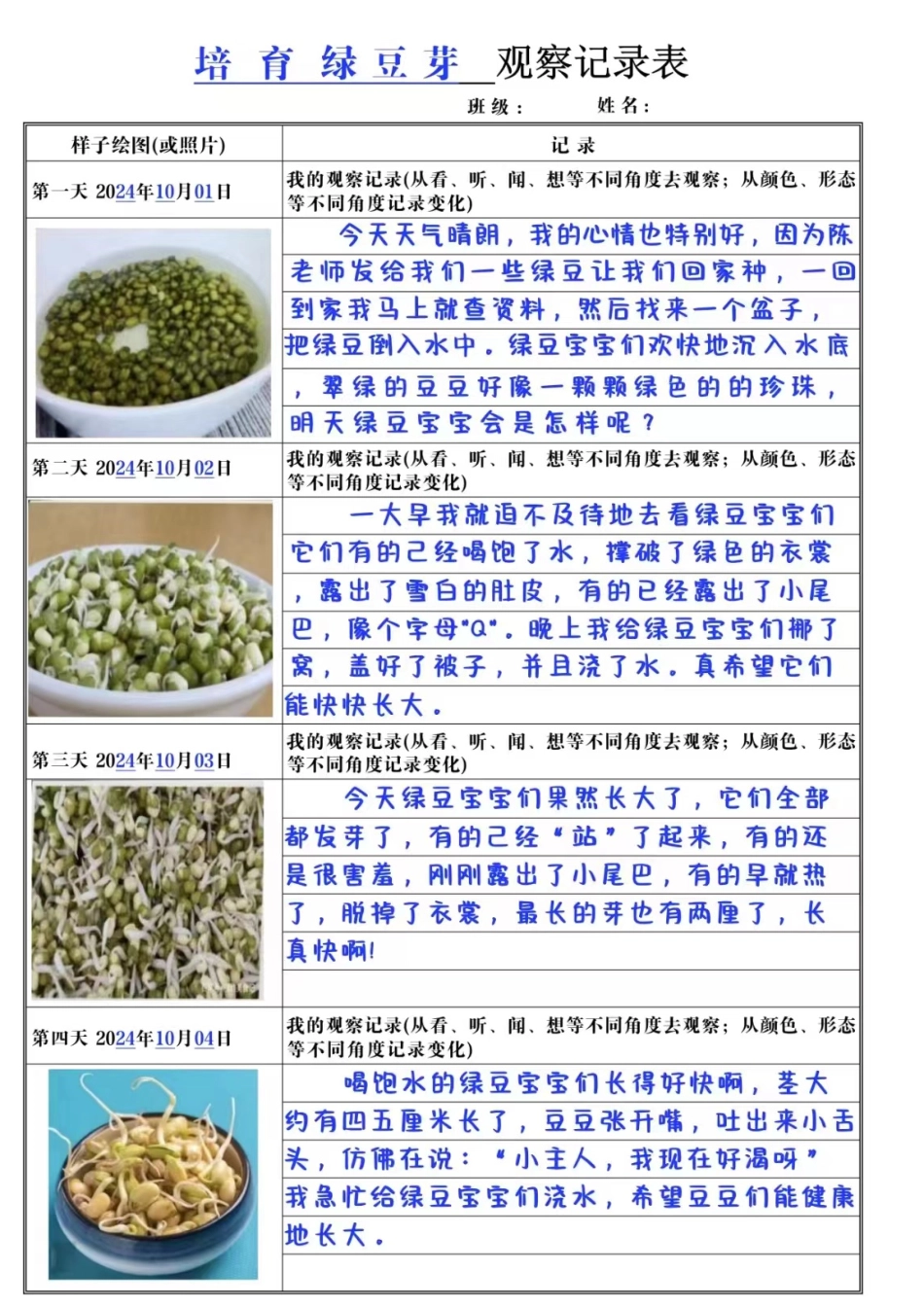 四年级语文绿豆芽培育生长观察表_第3页