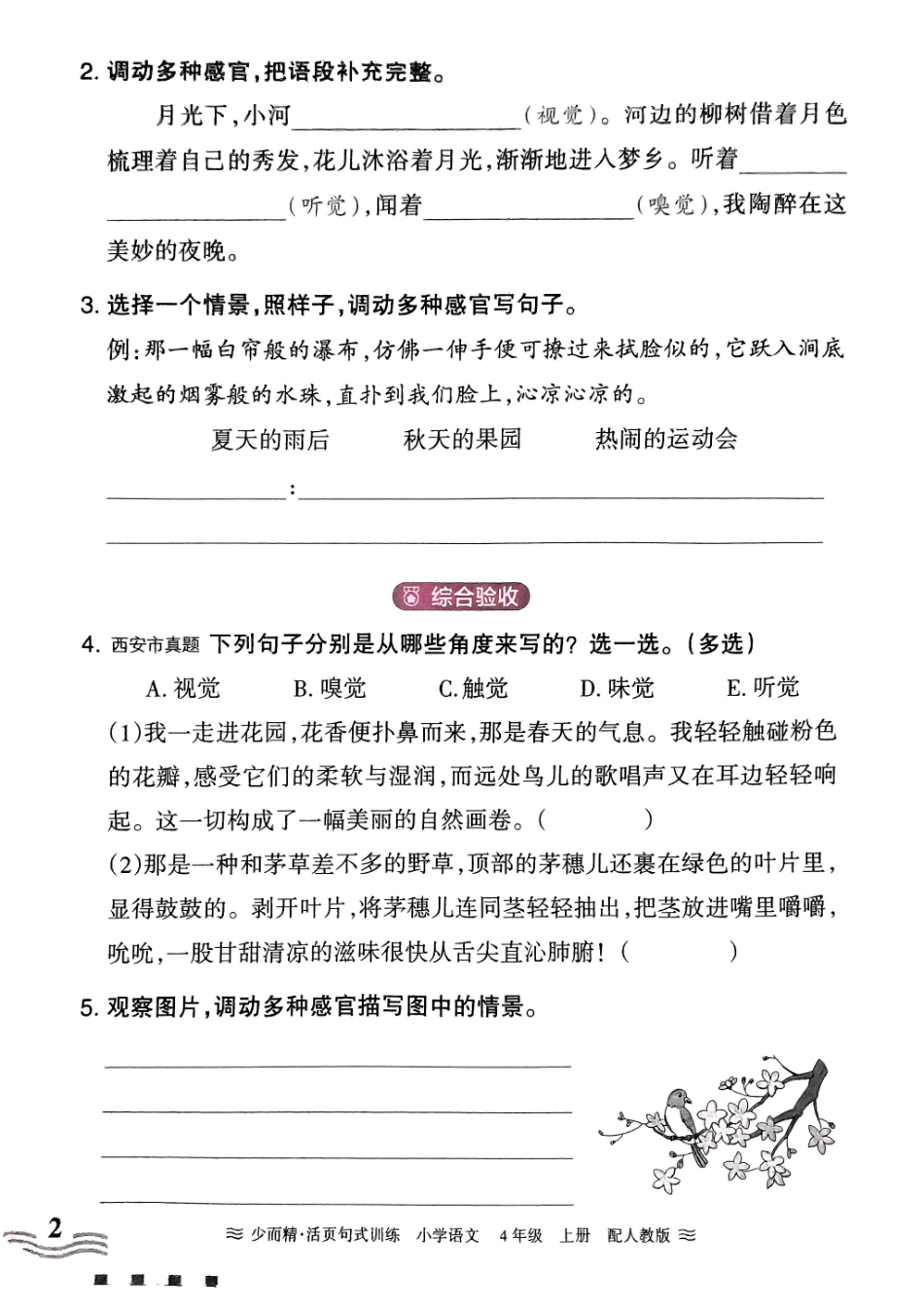 四年级语文上册24秋《王朝霞活页句式训练》（含答案）_第2页