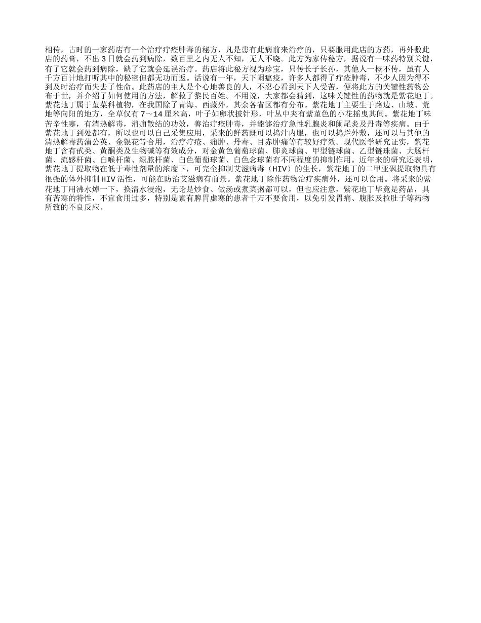 清热解毒　紫花地丁_第1页