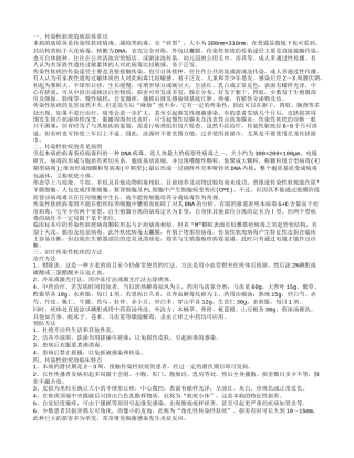 病毒性软疣怎么回事 病毒性软疣的治疗方法