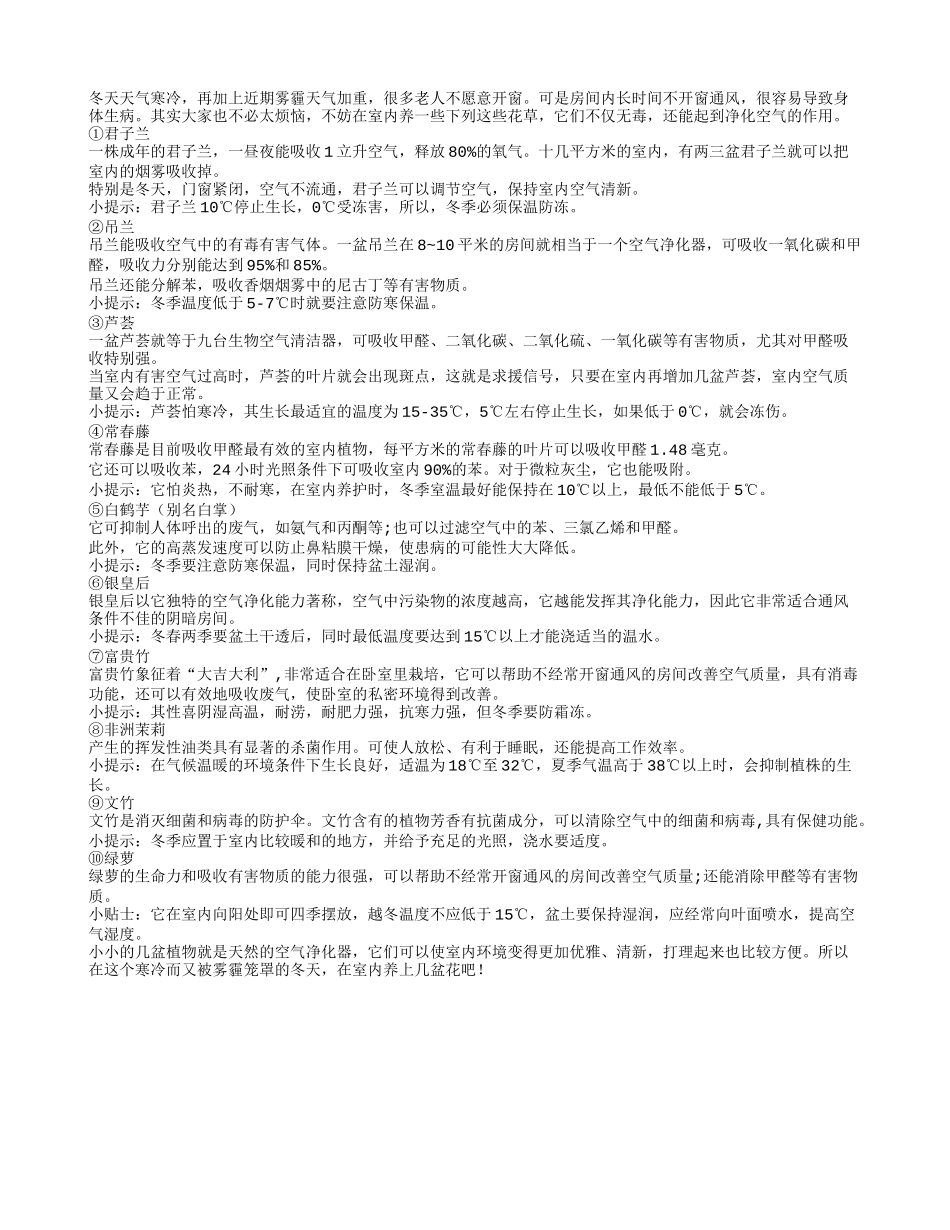 被称作天然空气净化器的几种花草养性_第1页