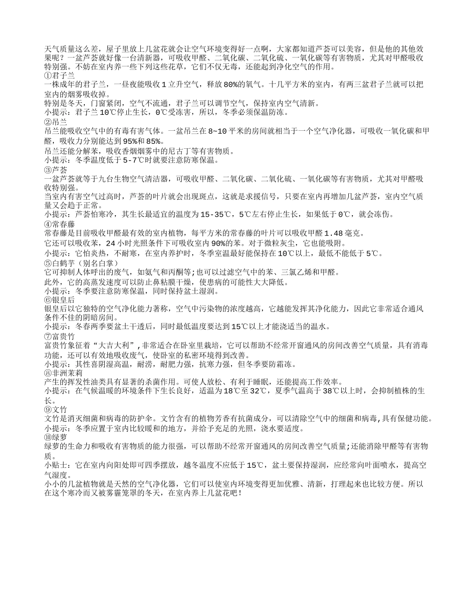 屋里放几盆花可改善空气养性_第1页