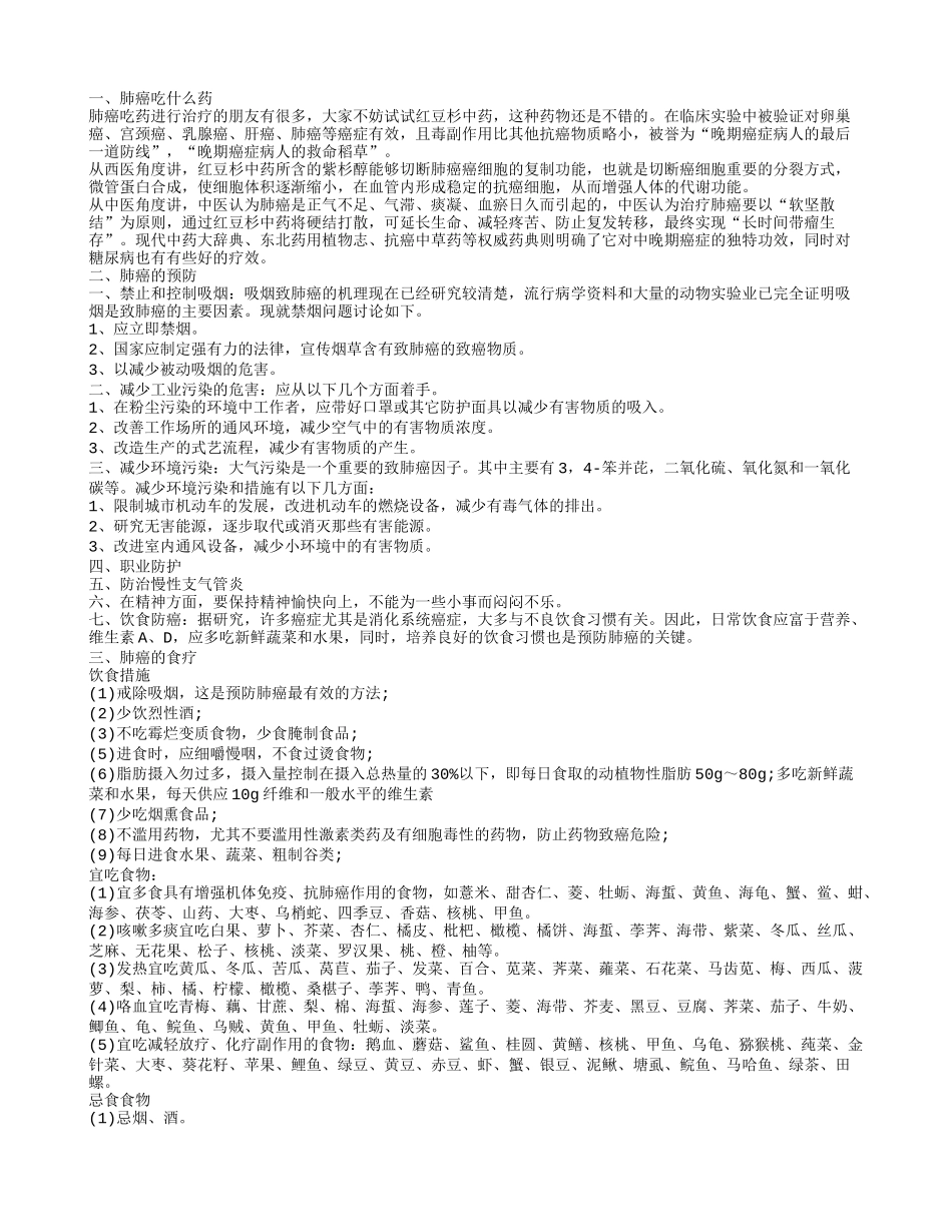 肺癌吃什么药,肺癌的治疗_第1页