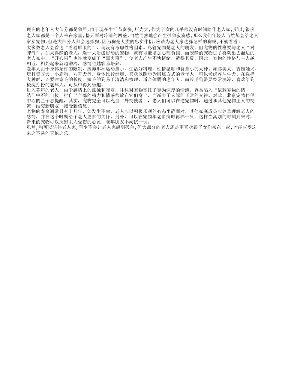 老年人适合养狗吗？_第1页