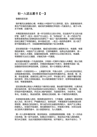 初一入团志愿书
