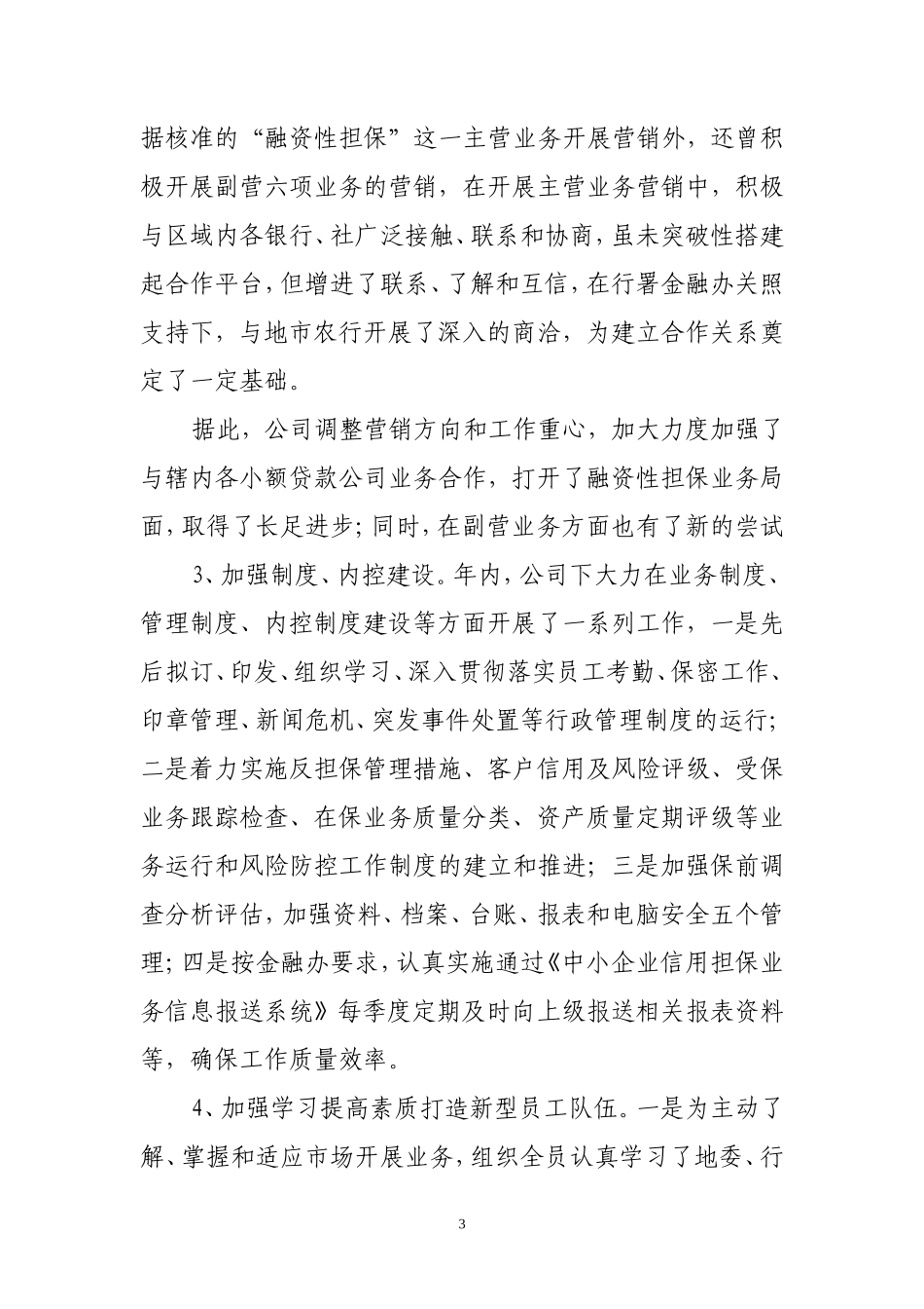 2013年度担保公司工作总结_第3页