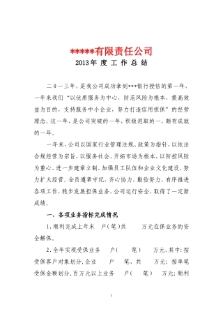 2013年度担保公司工作总结