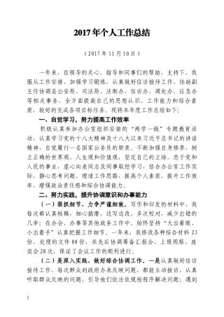 2017年个人工作总结 (3)