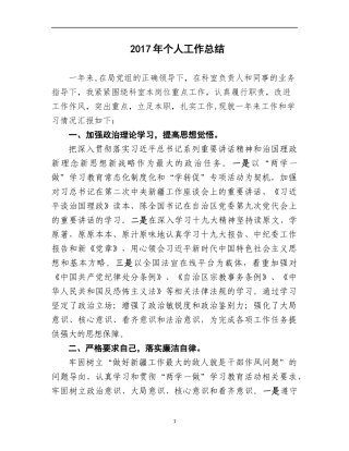 2017年个人工作总结 (4)